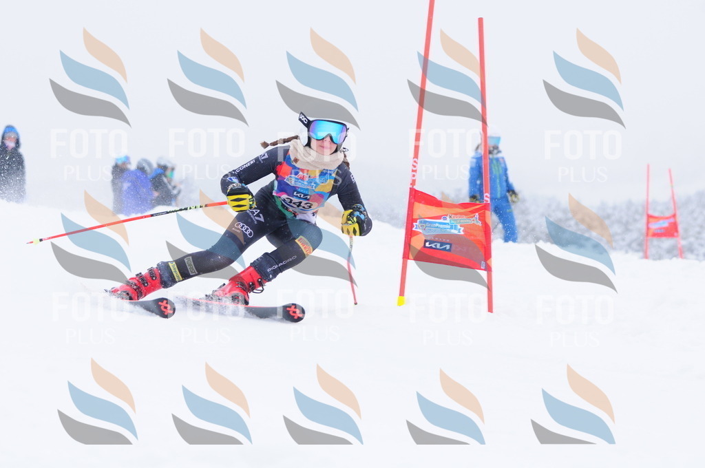 C3680 | holidayphoto