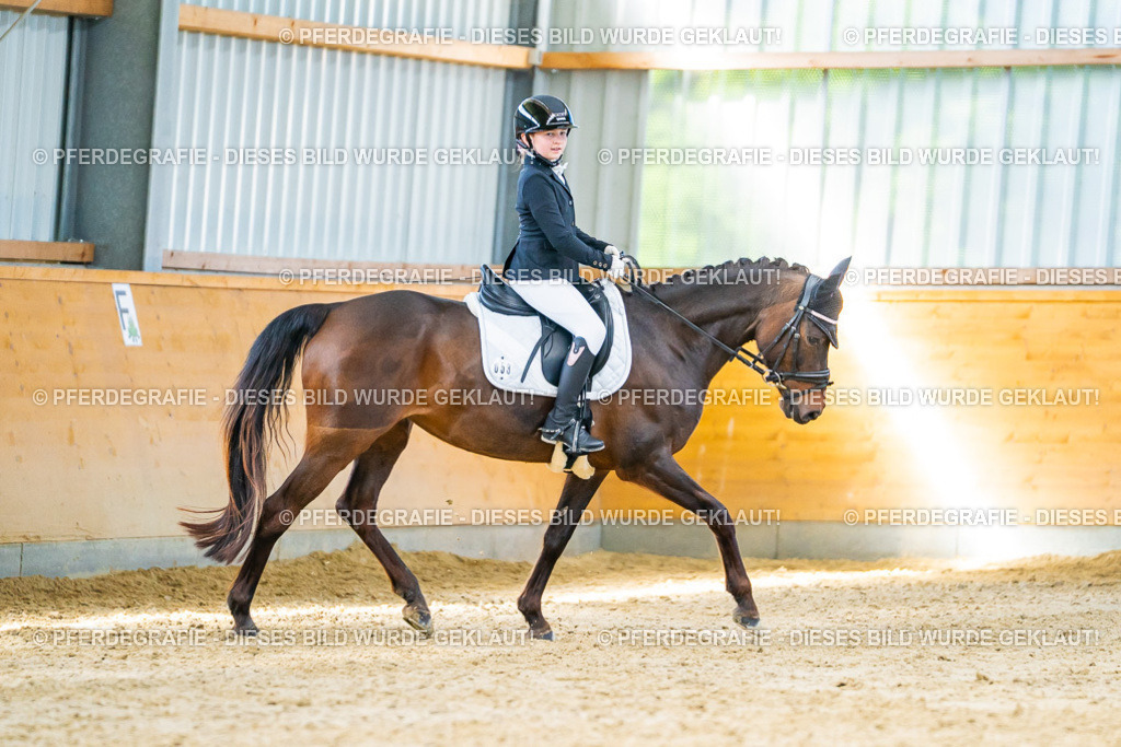 DSC07254 | Pferdegrafie