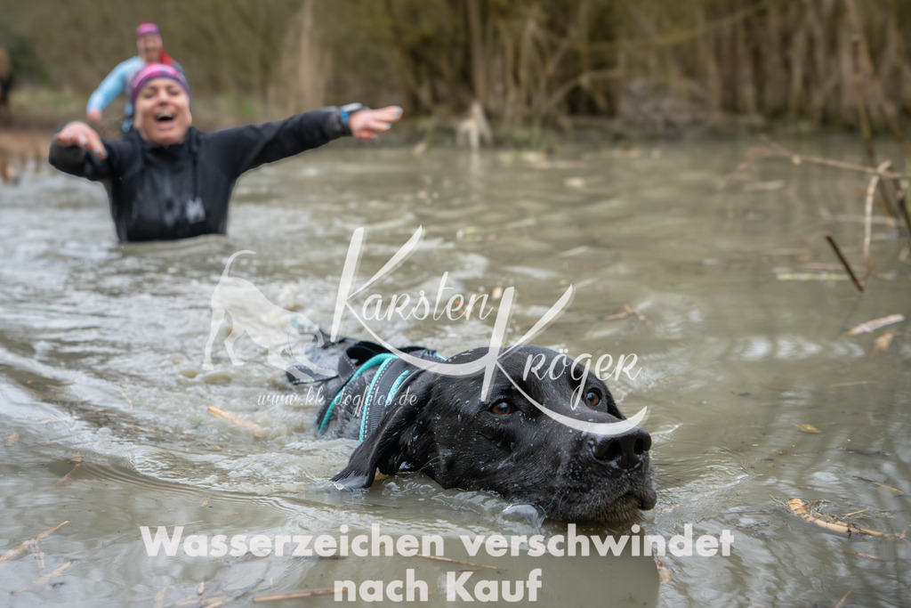 1341_ZZ91568 | kk-dogfotos