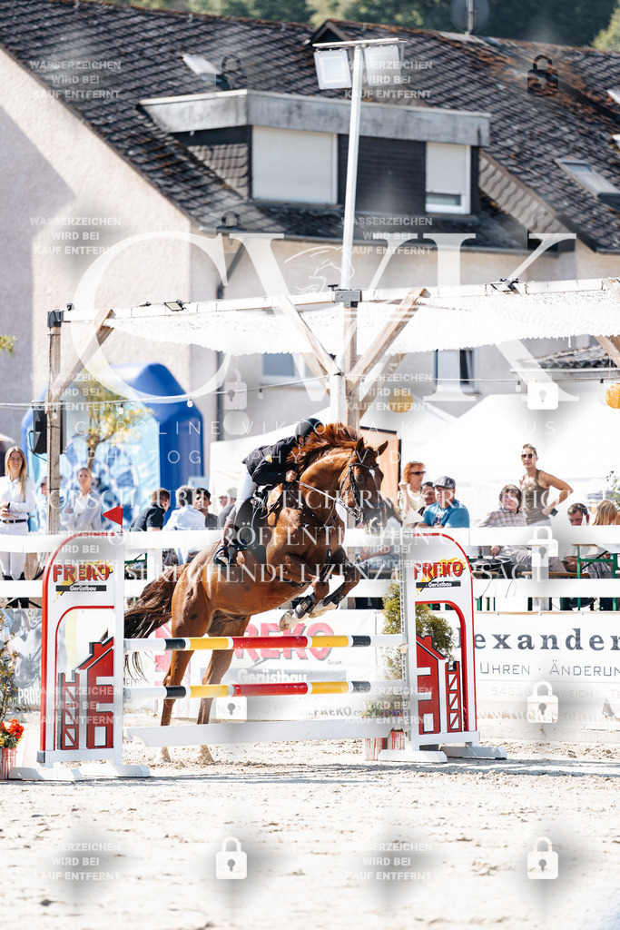 CK907869 | Turnierfotografie Pferdefotografie Trier Rheinland-Pfalz Pferdesport Reitsport Tierfotografie Sportfotografie Pferdevideo Pferdevideografie Equestrianvideography equestrianphotography  - Realisiert mit Pictrs.com