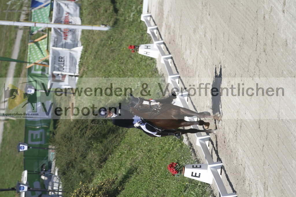 _MG_2558 | equestrian-live-com