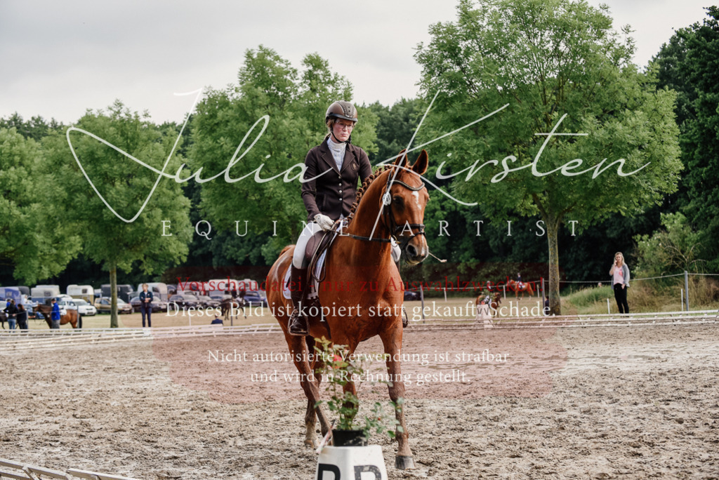 DSC_9697 | Pferde- und Turnierfotografie in Westsachsen. Pferdeportraits, Auftragszeichnungen und intuitive Kunst.