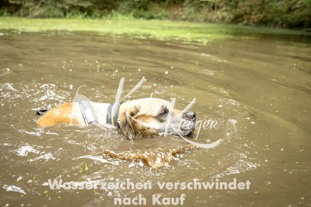1430_ZZ92662-Bearbeitet | kk-dogfotos