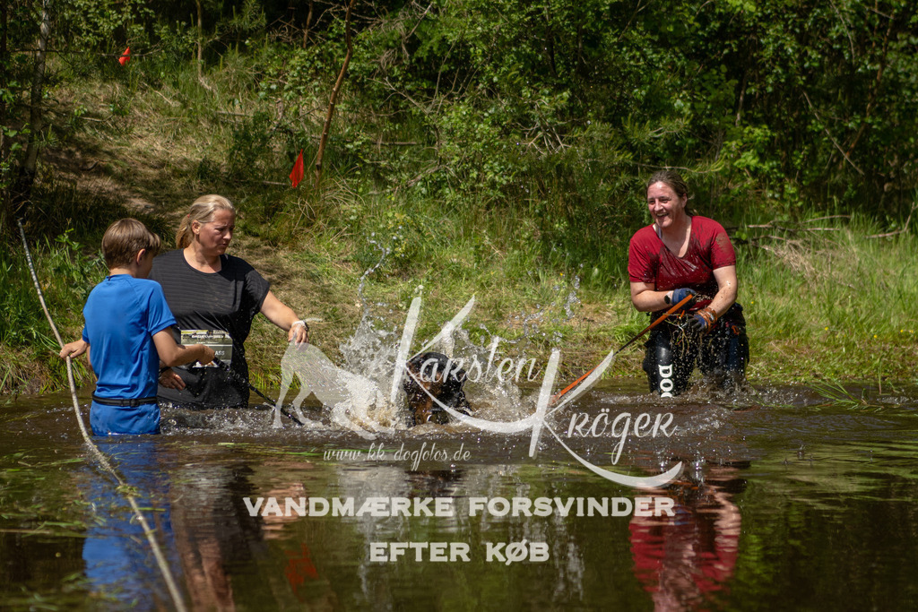 1255DKK993651 | kk-dogfotos