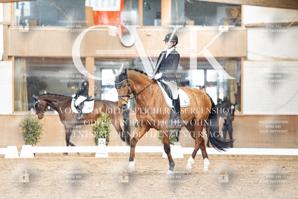 CK901021 | Turnierfotografie Pferdefotografie Trier Rheinland-Pfalz Pferdesport Reitsport Tierfotografie Sportfotografie Pferdevideo Pferdevideografie Equestrianvideography equestrianphotography  - Realisiert mit Pictrs.com