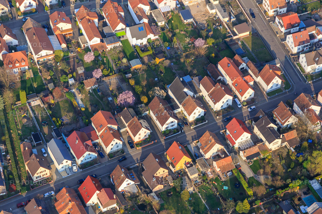 Luftbild: Waldstraße x Südendstr in Kandel im Bundesland Rheinland-Pfalz in Deutschland. Foto: IMG_113211.jpg vom 23.03.2019 durch Werner Riehm/FLY-FOTO.de