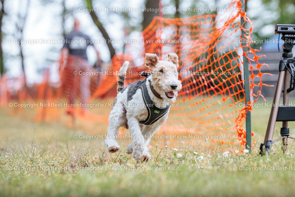 Sage Hunderennen Frühlingsfest-2026-Nickbest-Hundefotografie-0685 | Dein Hund! Dein Moment! Deine Erinnerungen! Hundefotografie in Bremen Blumenthal. Ich fange die besonderen Momente deines Vierbeiners ein – ob Indoor mit Blitzanlage oder in der freien Natur. Sicher dir dein Moment und dein Termin für eure Erinnerungen.