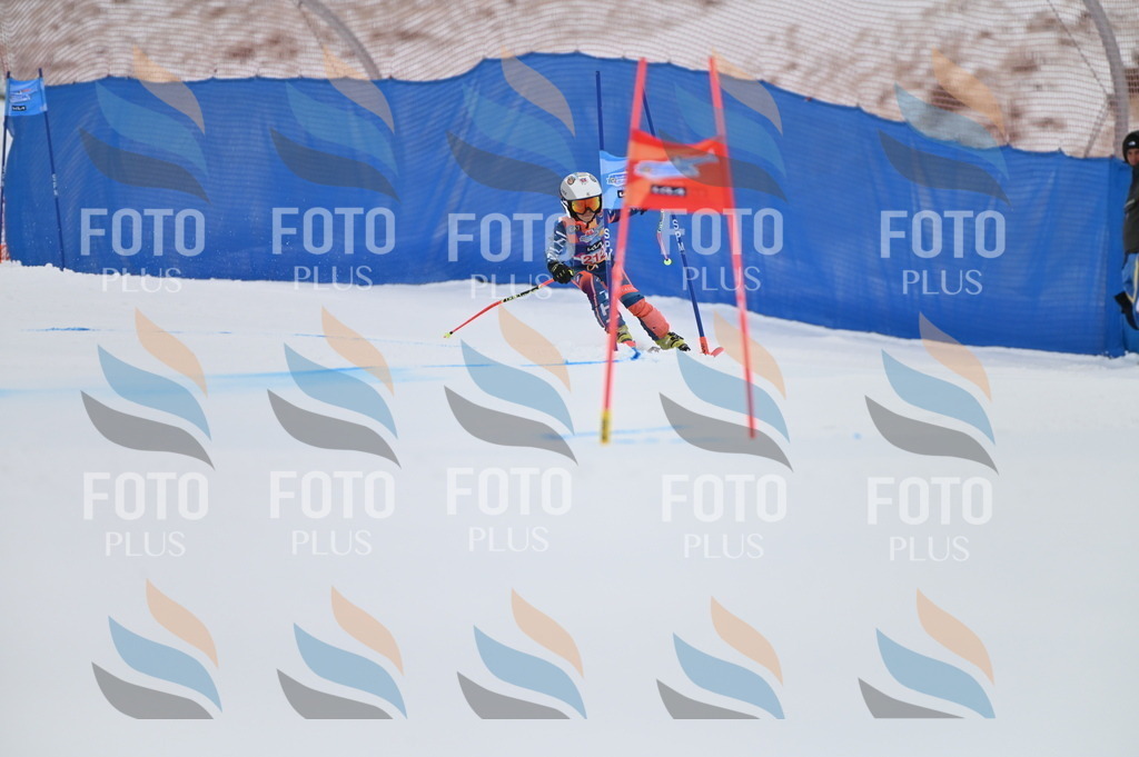 BGV_2485 | holidayphoto