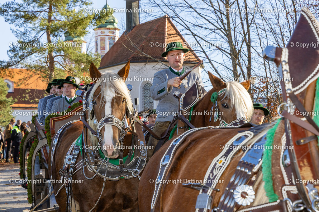 LBT25-1063 | foto-bettina-krinner - Realisiert mit Pictrs.com