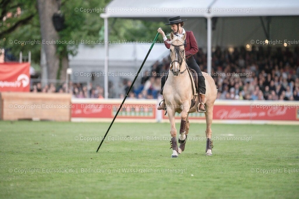 20230526_Pferdenacht_0704 | equistock