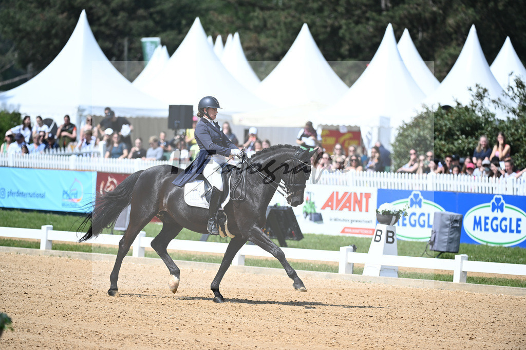 Merk_Sambuco_12243631 | hf-fotografie - Realisiert mit Pictrs.com