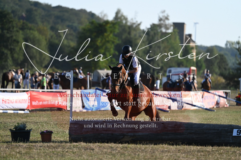 DSC_9213 | Pferde- und Turnierfotografie in Westsachsen. Pferdeportraits, Auftragszeichnungen und intuitive Kunst.