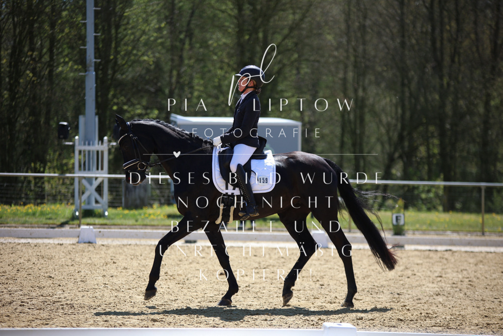 IMGT1436 | pl-fotografie