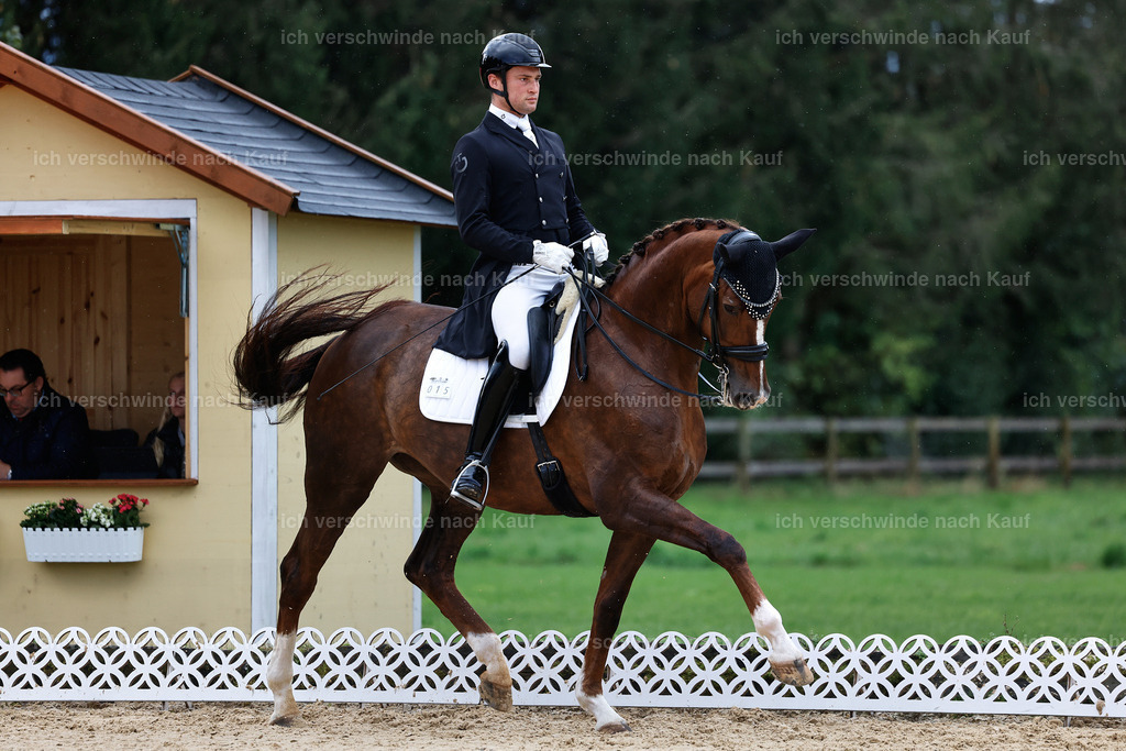 10-015-ST.GEORG SPECIAL -StoibPH-3205 | working equitationturnier fotograf videograf stoibphotography marixx film working equitation deutschland reitsport turnierfotografie eventfotografie equestrian events