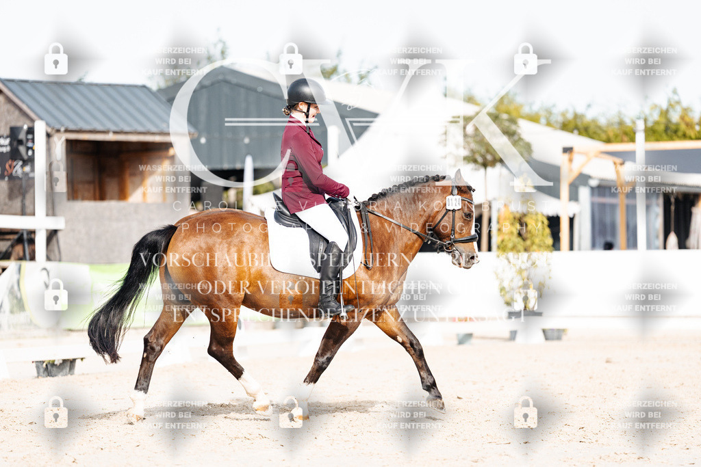 CK904894 | Turnierfotografie Pferdefotografie Trier Rheinland-Pfalz Pferdesport Reitsport Tierfotografie Sportfotografie Pferdevideo Pferdevideografie Equestrianvideography equestrianphotography  - Realisiert mit Pictrs.com