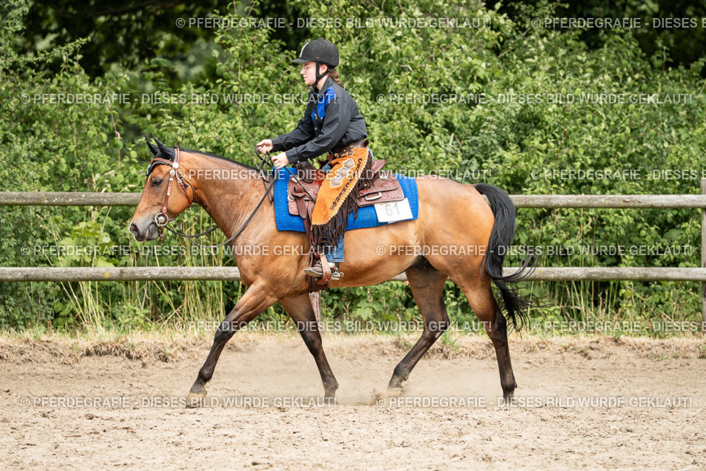 DSC01632 | Pferdegrafie