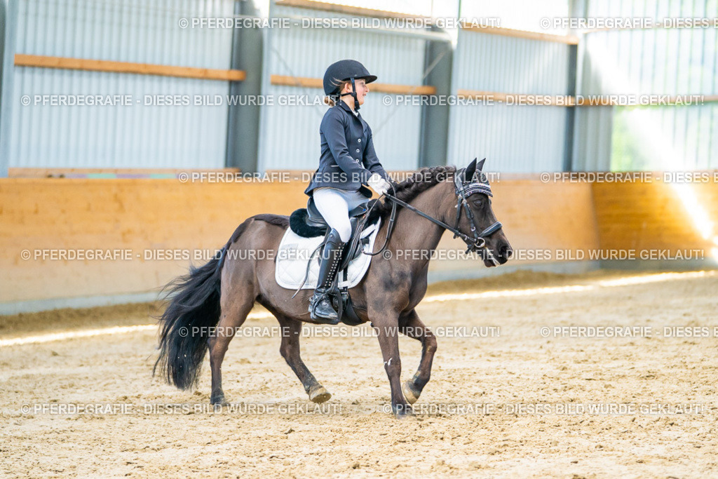 DSC06737 | Pferdegrafie