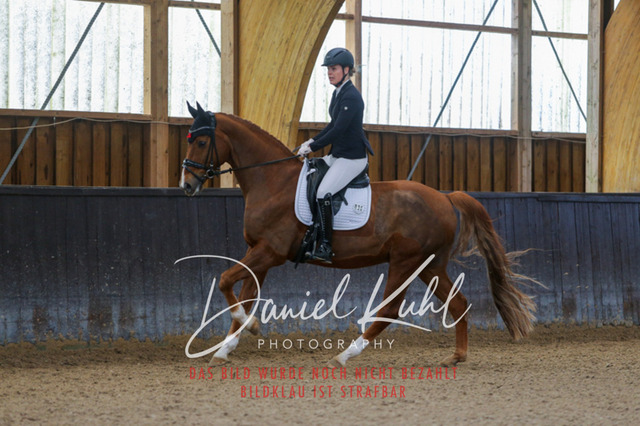 IMG_0305 | Turniersportfotografie; Pferdefotografie; Dressurfotografie