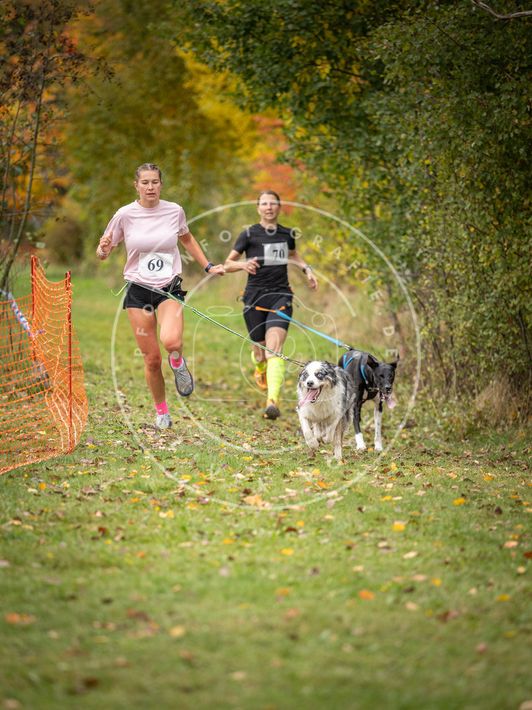 Pfotenfotografie_DV3A2782 | Hundefotografie, Tierfotograf, Pfotenfotografie, Fotoshooting Hund, Hunde Portrait, Hundesport, Hundeportraits, Heideshooting, Hunde, Sportfotograf, Hundefotograf, Turnierhundsport, THS,  - Realisiert mit Pictrs.com