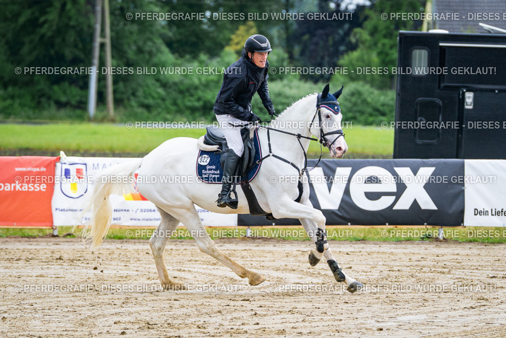 DSC03448 | Pferdegrafie