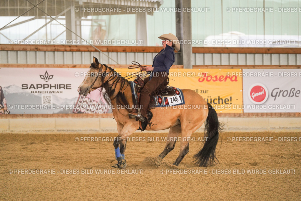 DSC09631 | Pferdegrafie