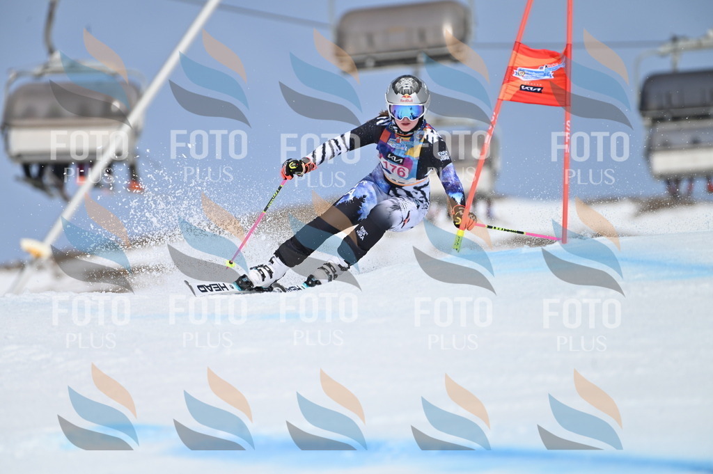 BGV_0530 | holidayphoto