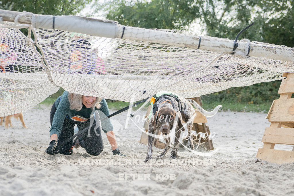 1338_ZZ97996 | kk-dogfotos