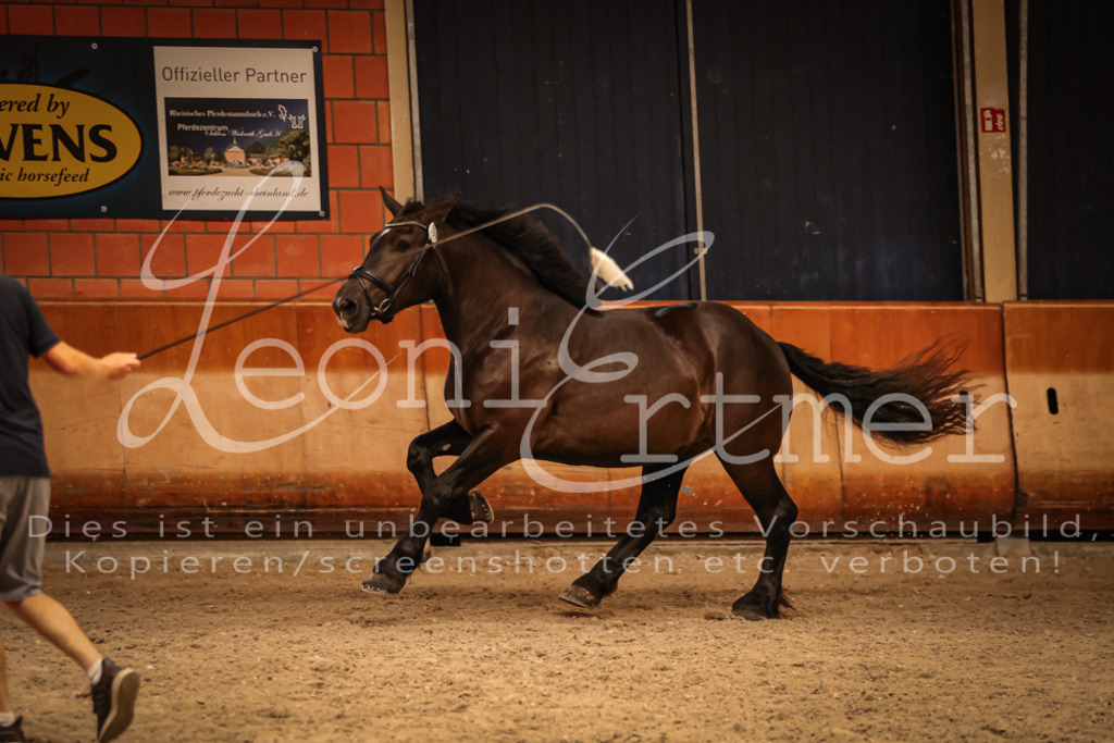 SaFL00395 | Leoni Ertmer Photography - Realisiert mit Pictrs.com