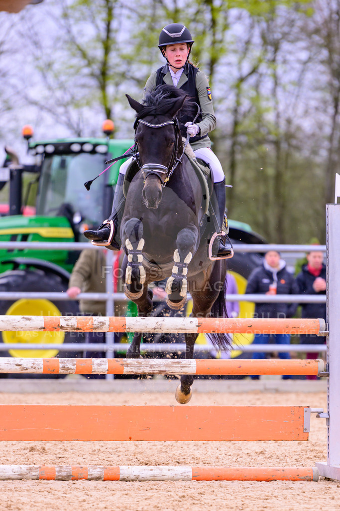 12042026-Mammendorf-Prfg39-0534 | Fokus Hufschlag Fotografie - Realisiert mit Pictrs.com