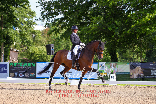 DKP41561 | Deine Turnierfotos vom Reitturnier online kaufen: Dressur, Springen & Siegerehrung. Professionelle Pferdefotografie aus dem Rheinland – als Download & Print.Alternative: Turnierfotograf für den Pferdesport: Finde deine Fotos von Dressur- und Springturnier