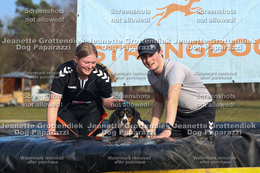 Dog Paparazzi - Strongdog North Mrz26-3548 | Dog Paparazzi Jeanette Grottendiek Fotografie & Videografie - Realisiert mit Pictrs.com