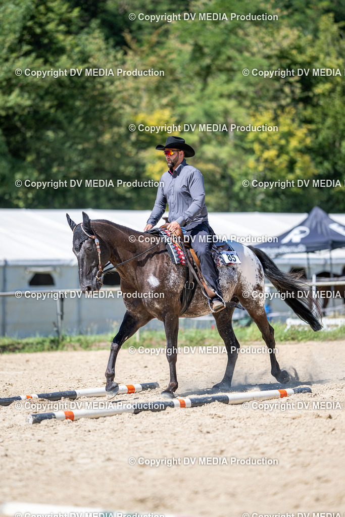 LM Heiligenwald Tag 1-1442 | dv-media-shop - Realisiert mit Pictrs.com