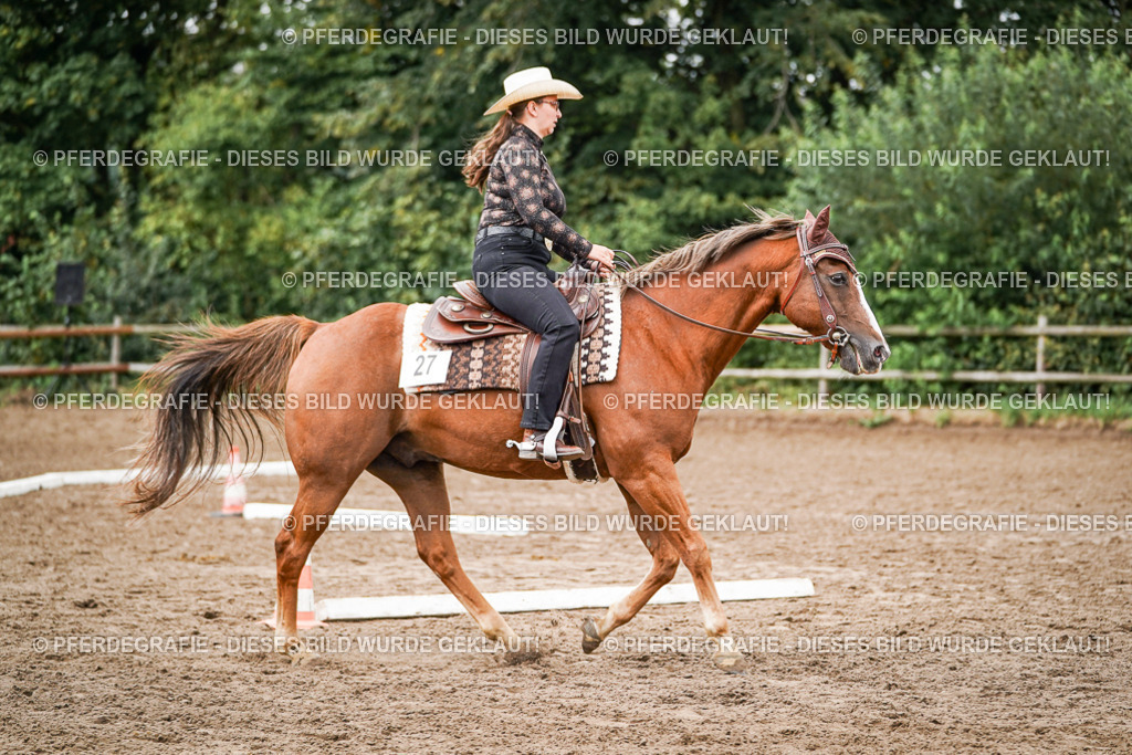 DSC04021 | Pferdegrafie