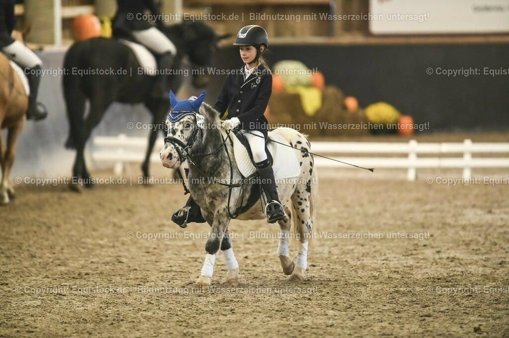 20231029_02_Reiter-WB_Schritt-Trab-Galopp_Abteilung-01_0060 | Foto: Thomas Hartig