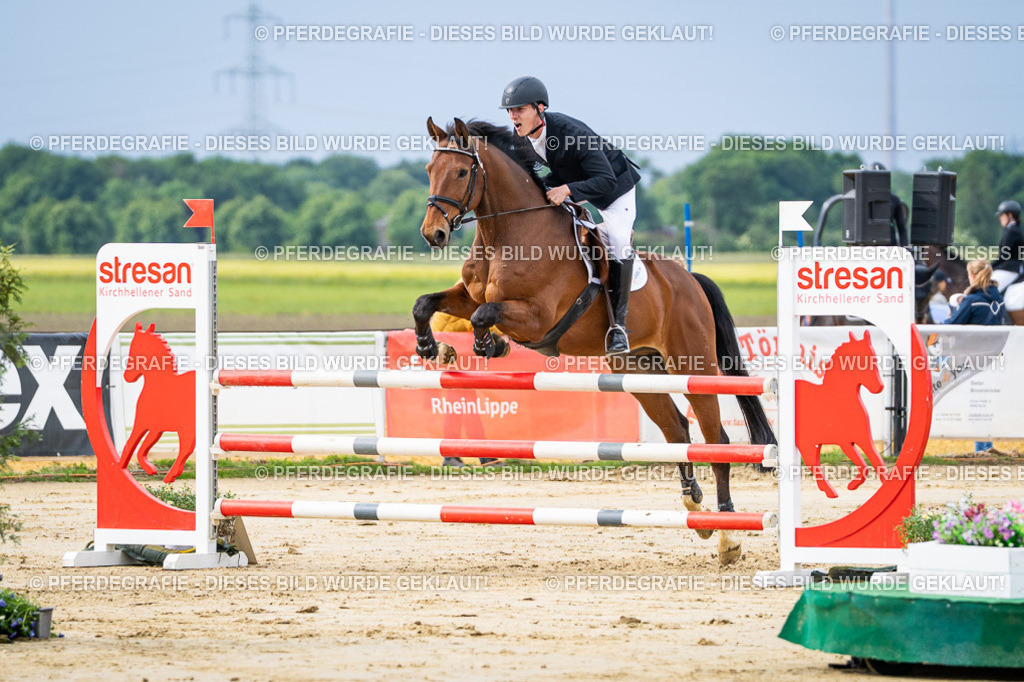 DSC03807 | Pferdegrafie