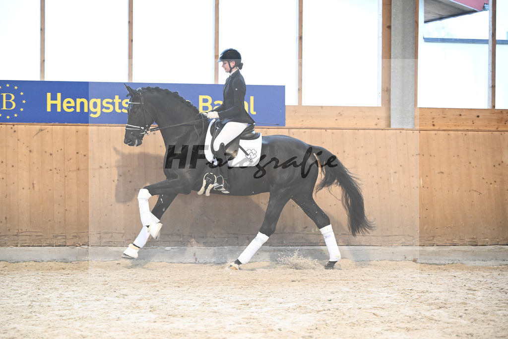 Haffruf_7240773 | hf-fotografie - Realisiert mit Pictrs.com