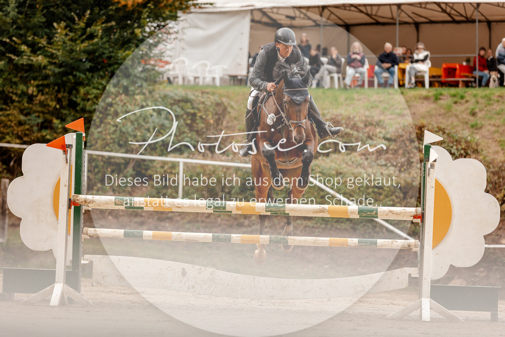 3I6A8040 | Stimmungsvolle Portraits und Reitsportfotografie im Ruhrgebiet und im Münsterland.

Pferdefotografie, Hundefotografie, Tierfotografie, Reportagen, Portraits von Tier und Mensch, Turnierfotografie in Bochum, Recklinghausen, Marl, Haltern am See, Dülmen.. - Realisiert mit Pictrs.com