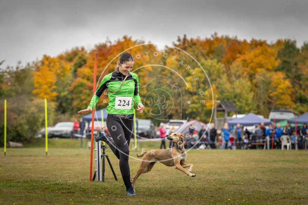 Pfotenfotografie_DV3A3897 | Hundefotografie, Tierfotograf, Pfotenfotografie, Fotoshooting Hund, Hunde Portrait, Hundesport, Hundeportraits, Heideshooting, Hunde, Sportfotograf, Hundefotograf, Turnierhundsport, THS,  - Realisiert mit Pictrs.com