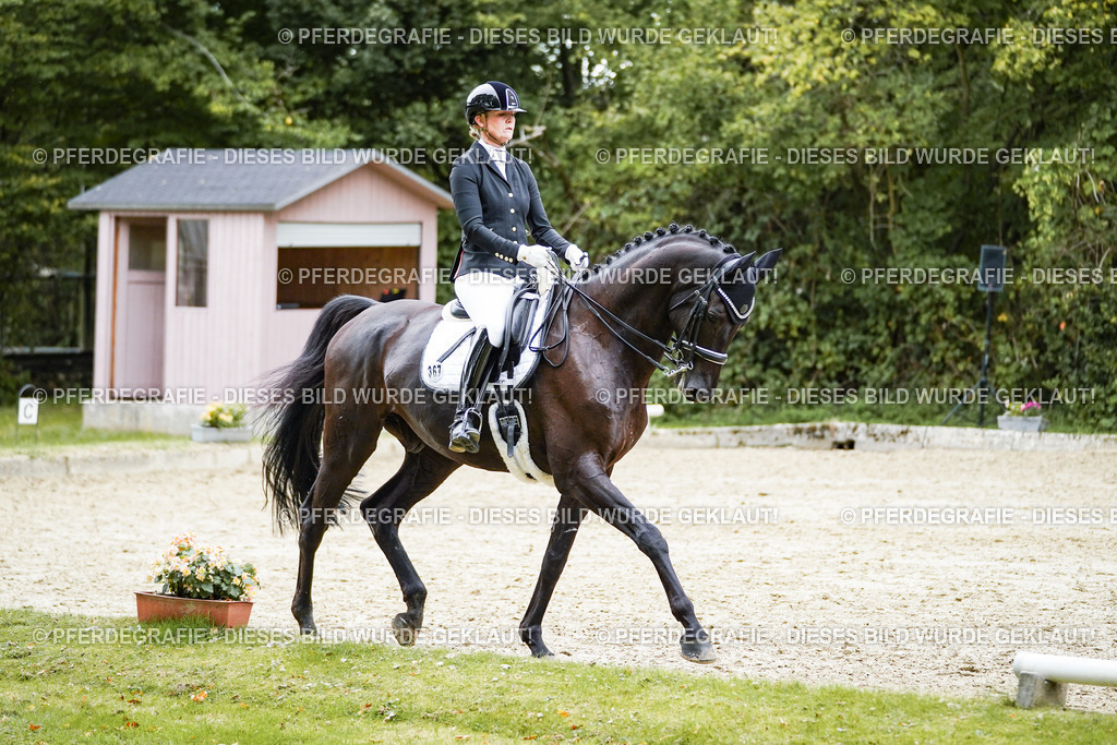 DSC01386 | Pferdegrafie