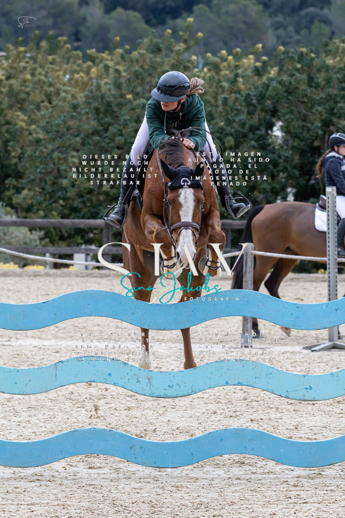 IMG_4231 | s-jay-photography - Realisiert mit Pictrs.com