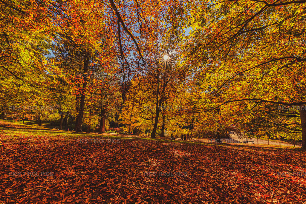 DSC_2426-Bearbeitet | Tirolpics