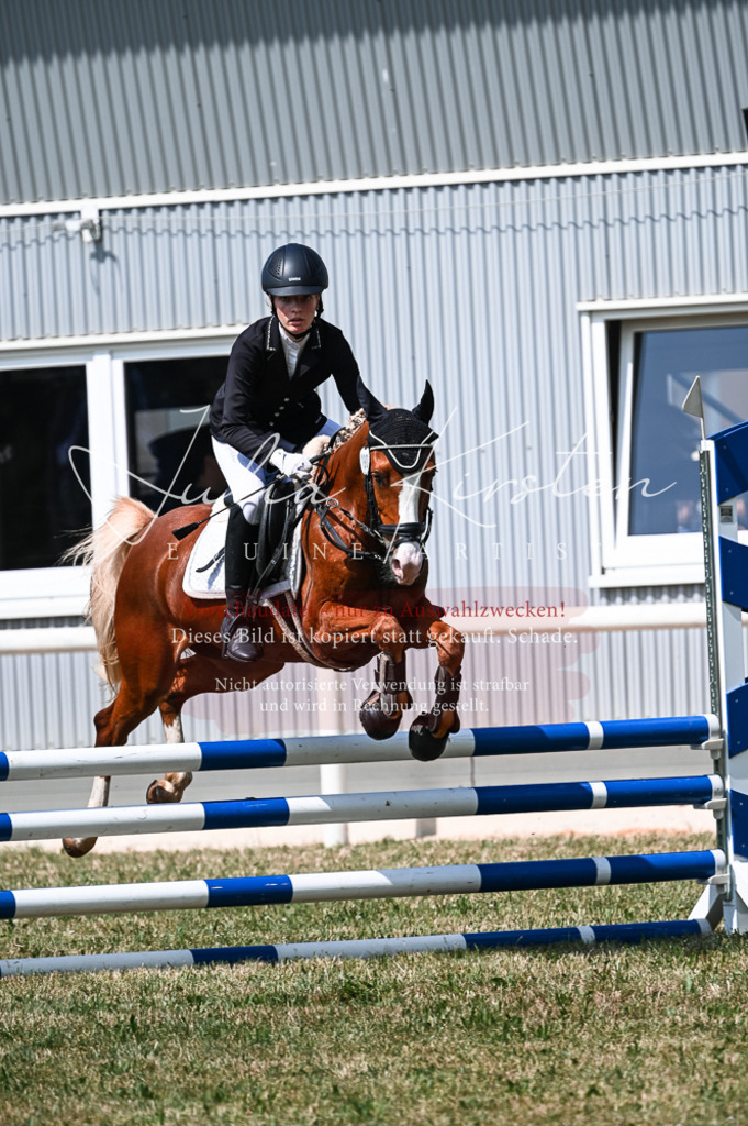 DSC_8721 | Pferde- und Turnierfotografie in Westsachsen. Pferdeportraits, Auftragszeichnungen und intuitive Kunst.