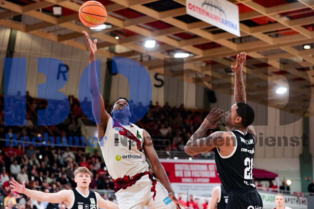 SES_LEVWOL20250525-55 | bond - Realisiert mit Pictrs.com