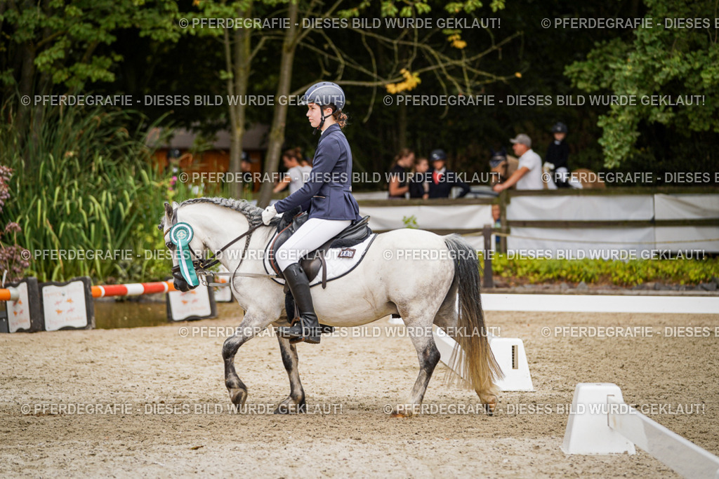 DSC04491 | Pferdegrafie