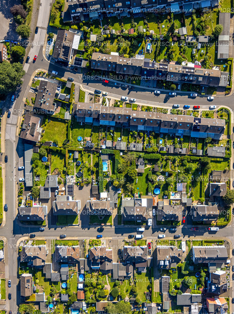 Velbert240812719 | Luftbild, Wohnsiedlung und Gärten mit Swimmingpool zwischen Rotdornstraße und Eschenstraße, Senkrechtaufnahme, Velbert, Ruhrgebiet, Nordrhein-Westfalen, Deutschland