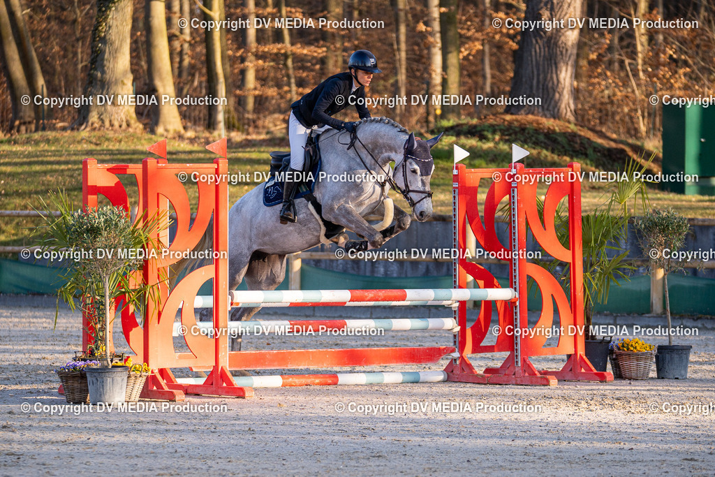 DSC-194 | dv-media-shop - Realisiert mit Pictrs.com