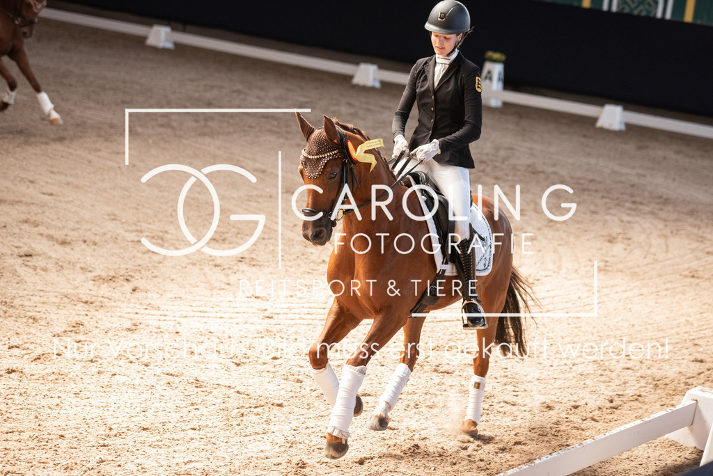 DSC_3526 | Carolin Gieschke