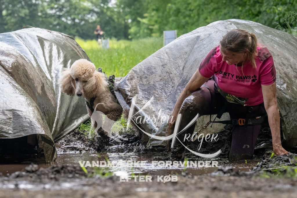 1143_ZZ94189-Bearbeitet | kk-dogfotos