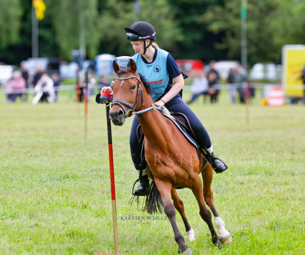 1B3A0043 | Reitsport Reiten