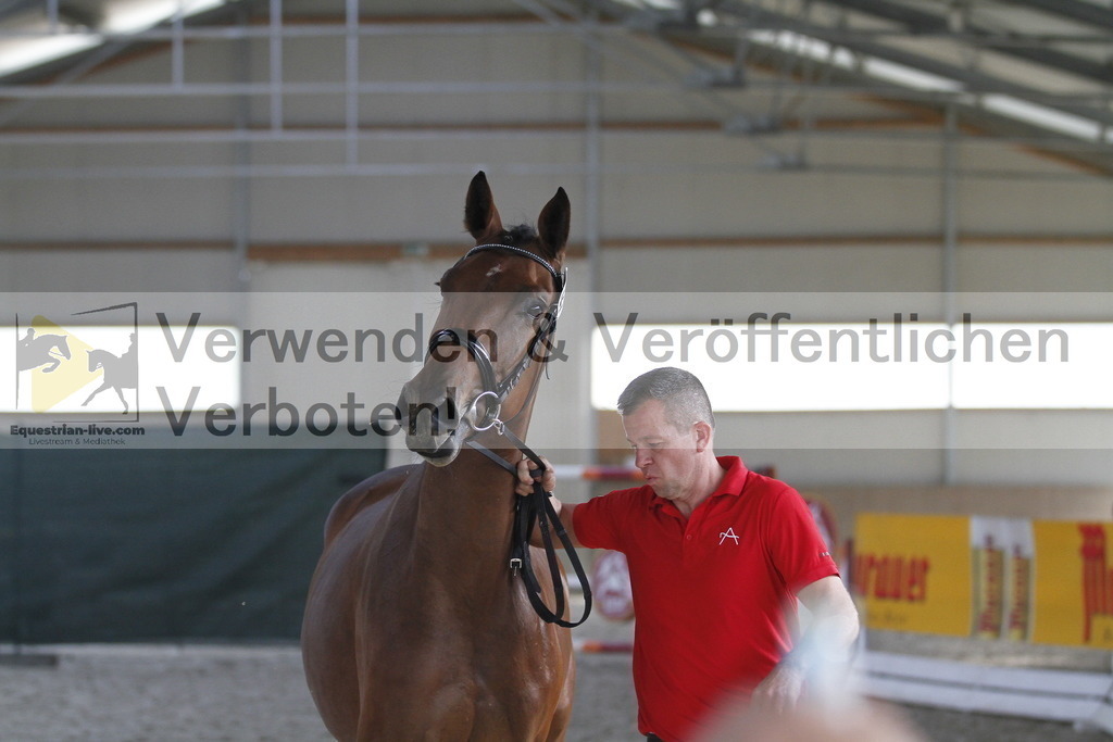 _MG_0684 | equestrian-live-com